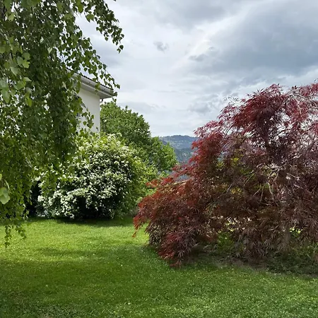 Appartement Biendi *